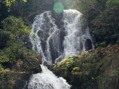 android_upload_pic-旗山国家森林公园