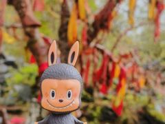 -叠溪松坪沟景区