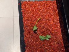 -辣伍鲜毛肚老火锅(元一店)