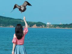-海驴岛(荣成市)