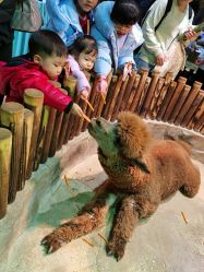 -宝燕乐园(闵行旗舰店)