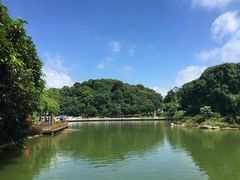 -广州市帽峰山景区