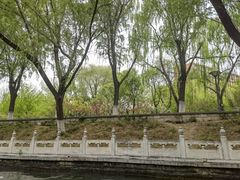 -皇家御河游(紫御湾码头)