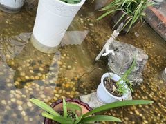 -野渡坡·极致湘菜·庭院餐厅(汉阳店)