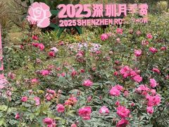 -人民公园(罗湖区)