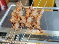 -邢氏老太太烤串(北兴街店)