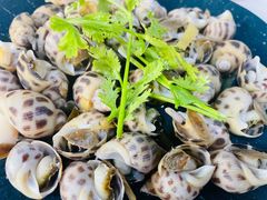 瓦萨比花螺-阿尔法海鲜排档(爱琴海店)