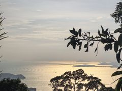 -太平山餐厅(山顶道店)