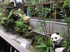 环境-鸡毛店·川菜(李家沱店)