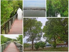 -上海吴淞炮台湾国家湿地公园