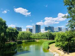 -大兴滨河森林公园