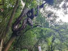 -古龙峡云天玻霸