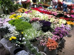 -双季花艺园艺市场(浦东店)
