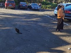 -示范集贸市场