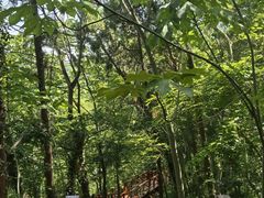 -第一山景区