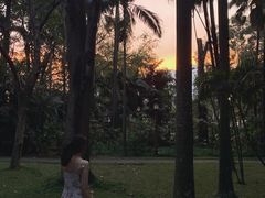 -华南国家植物园-售票处