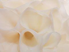 土豆-蜀大侠火锅(寰球文化地标·总府店)