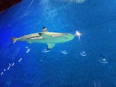 -华夏文旅西安度假区