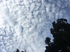 -串来串去(中关村店)