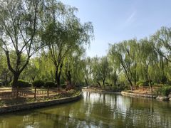 -燕郊植物园