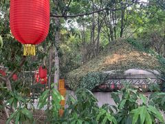 -草根堂农场