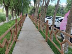 -白渔泡湿地公园