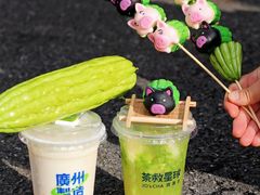 -茶救星球·蔬果茶(北京路旗舰店)
