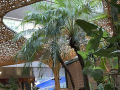 -Tegu泰古莲·泰国餐厅(红山6979店)