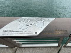 -星光大道