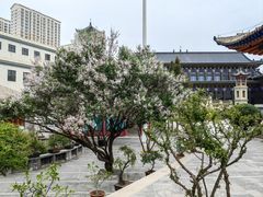 -东关清真大寺