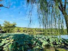-承德避暑山庄景区