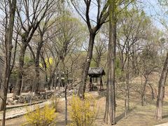 -晋祠公园