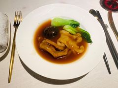 天目花菇扣花胶配鹅掌-三号黄浦会Canton Table