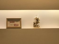点击看大图 -小小美甲美睫