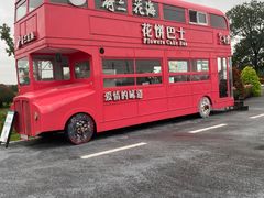 -荷兰花海