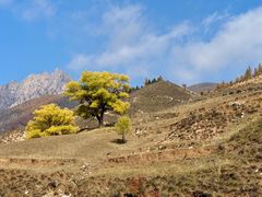 -芦芽山旅游度假区