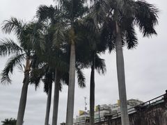-石炮台公园
