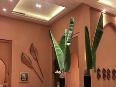 -海南椰子鸡餐厅(三亚湾红树林店)