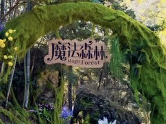 -龙湾潭国家森林公园