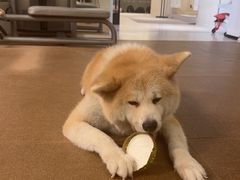 -YCHL Studios健身工作室(市二宫店)