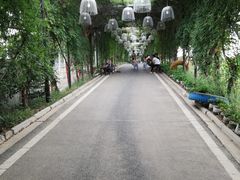 -武汉紫薇都市田园