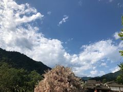-虹口漂流