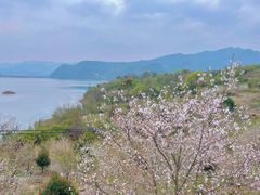 -溪口-滕头旅游景区