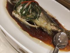 -正佳广场万豪酒店-粤菜餐厅·点心·海鲜·聚餐