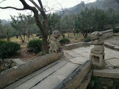 -雨花胜境