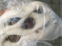 -白玉兰传统小吃