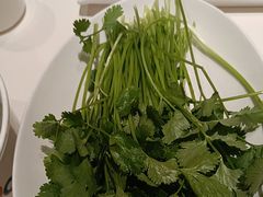 -蒙都43°9羊火锅·赤峰美食(宁城店)