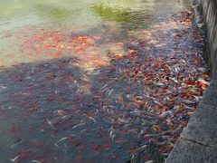 -建水文庙