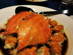 -三利音·玖弄小鲜(浦东嘉里城店)