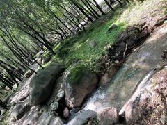 -玉渡山自然风景区